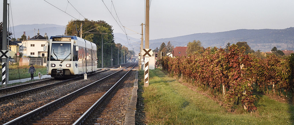Badner Bahn im Herbst