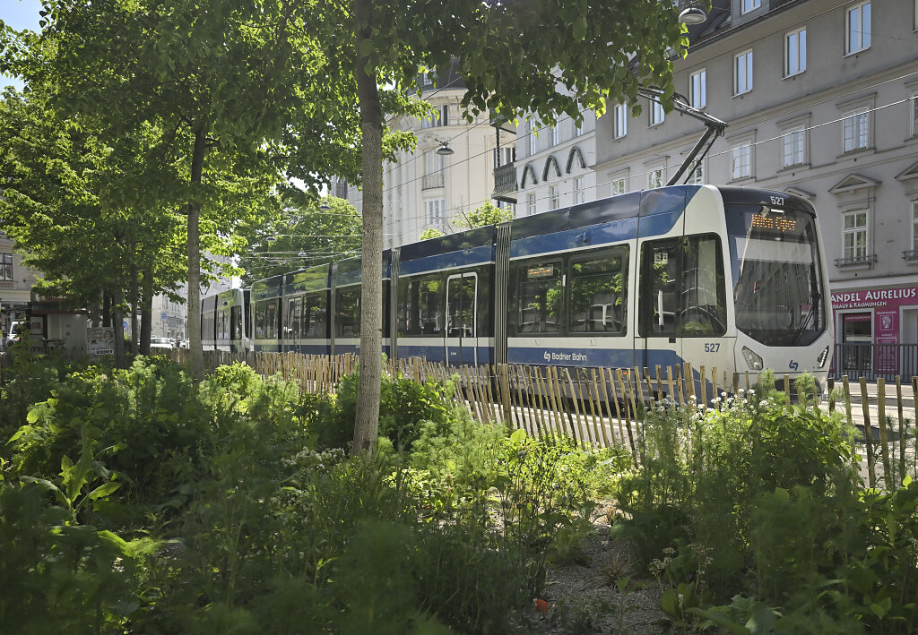 WLB in der neu gestalteten Wiedner Hauptstraße